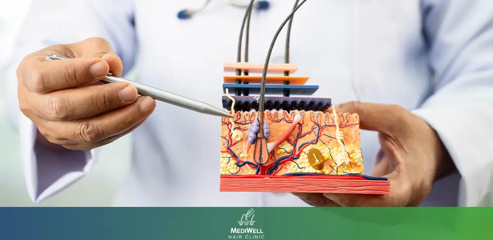 FUE and DHI Procedures: Which Offers Better Value?